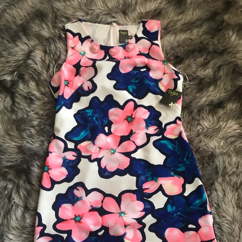 ❤️❤️ TAYLOR DRESS SIZE 6 ❤️❤️
